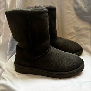 UGG Classic Short